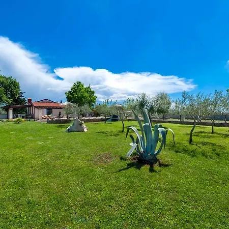 Fauna Near The Town Of Rovinj